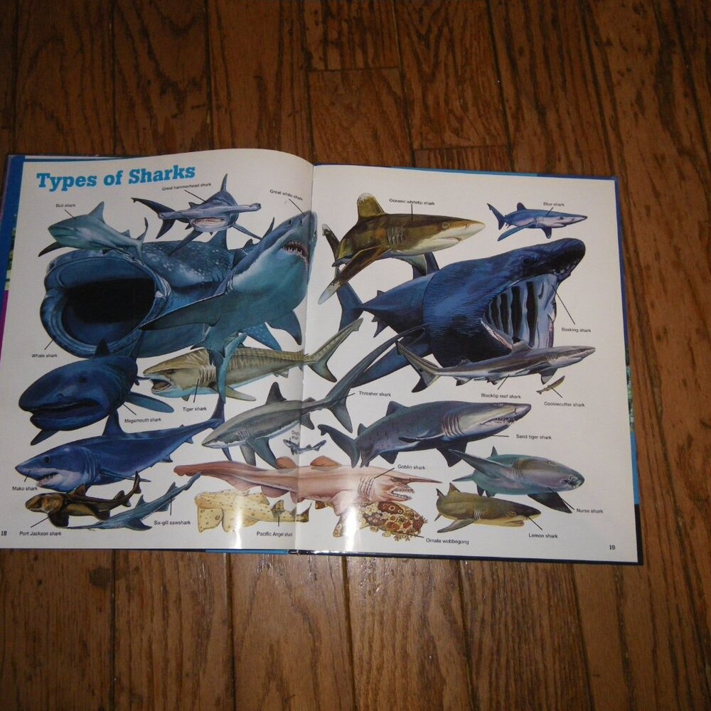 Sharks Photo-Fact Collection Large Hardback Book - Picture 3 of 3